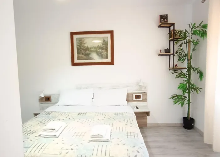 Apartment Dinamo Evoo