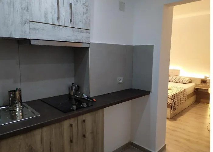 Apartment Dinamo Evoo *