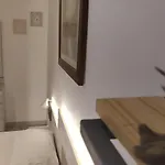 Dinamo Evoo 地拉那