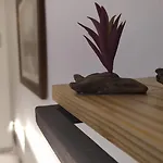 Dinamo Evoo 公寓 地拉那