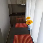 Dinamo Evoo * 地拉那