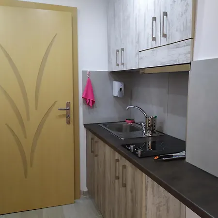 Apartment Dinamo Evoo *
