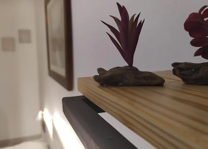 Dinamo Evoo Apartment Tirana