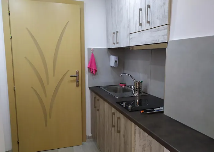 Apartment Dinamo Evoo *