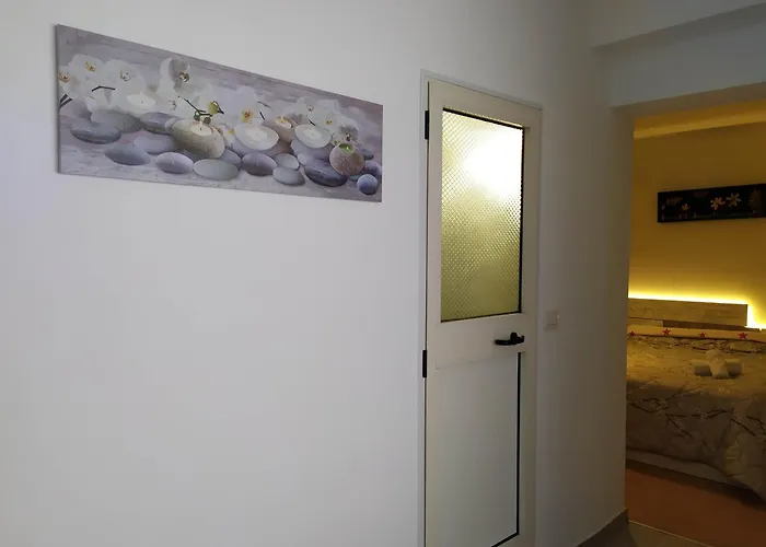 Dinamo Evoo Appartement