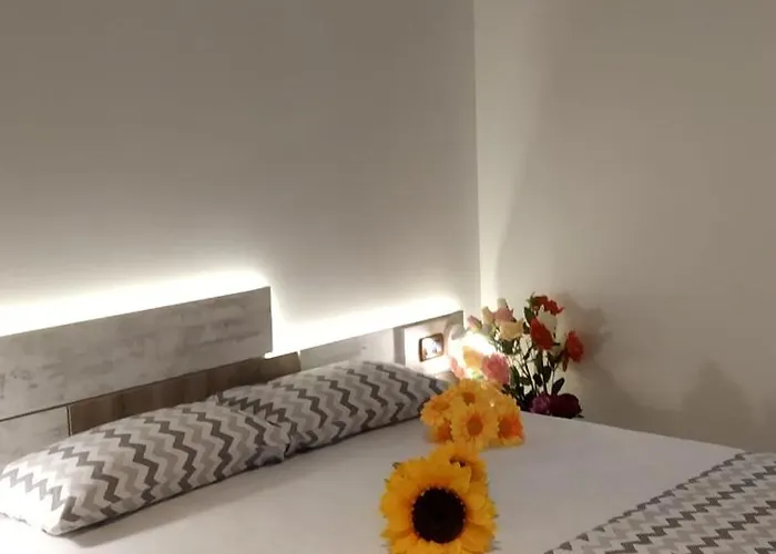 Dinamo Evoo Appartement