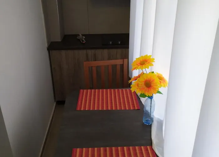 Dinamo Evoo * Tirana